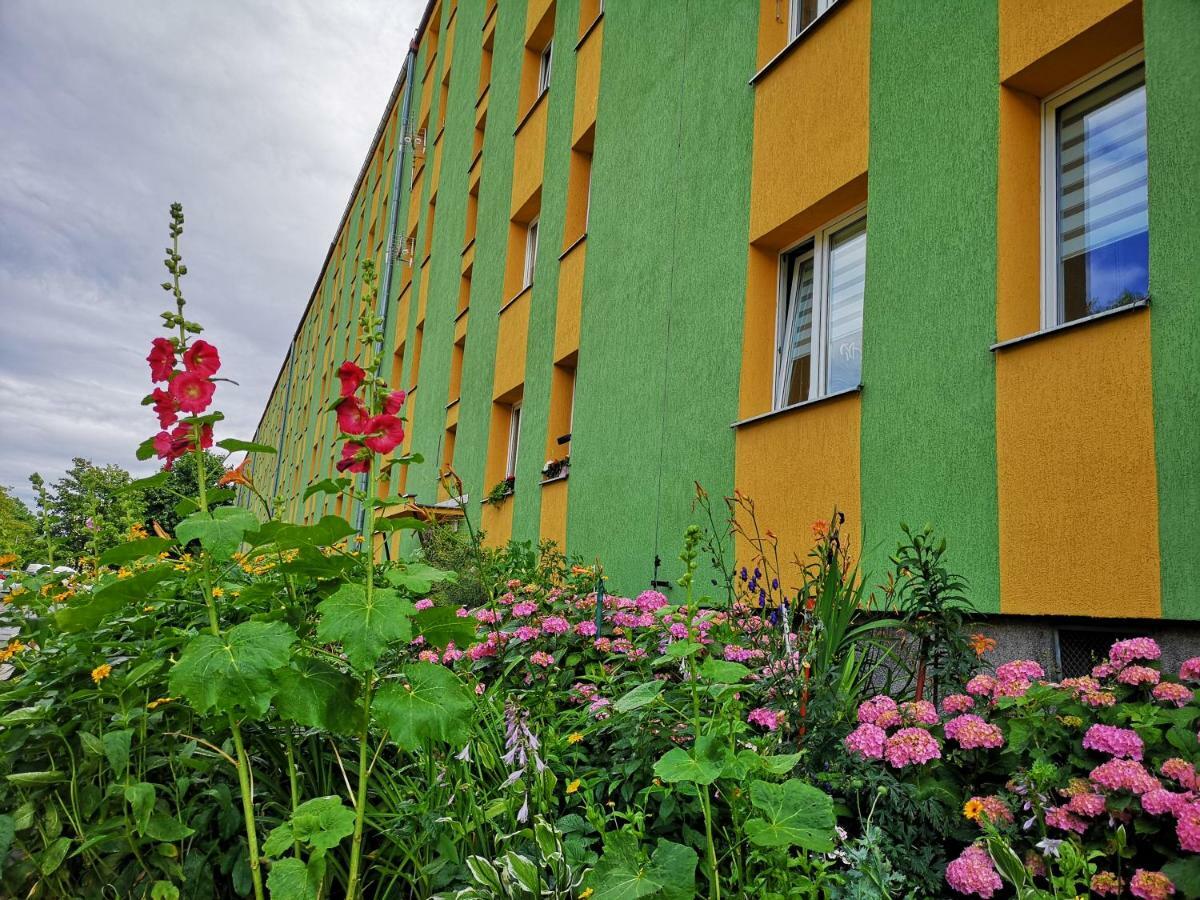 Apartament Anchor Przymorze Gdańsk Kültér fotó